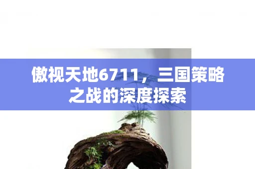 傲视天地6711，三国策略之战的深度探索