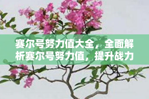 赛尔号努力值大全，全面解析赛尔号努力值，提升战力的关键所在