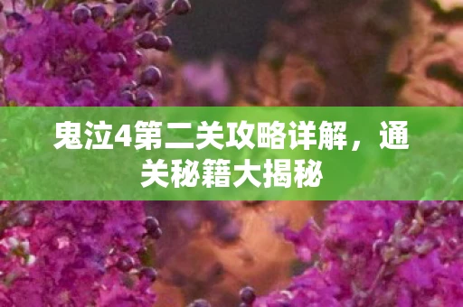 鬼泣4第二关攻略详解，通关秘籍大揭秘