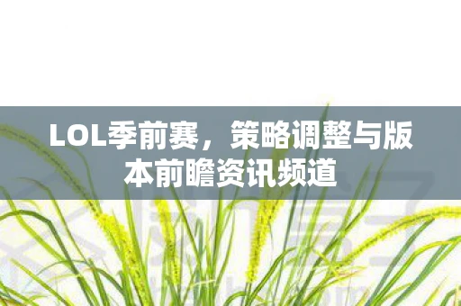 LOL季前赛，策略调整与版本前瞻资讯频道