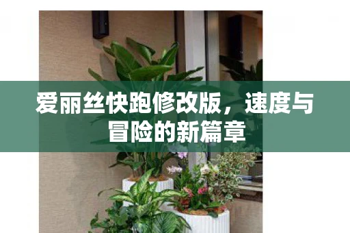 爱丽丝快跑修改版，速度与冒险的新篇章