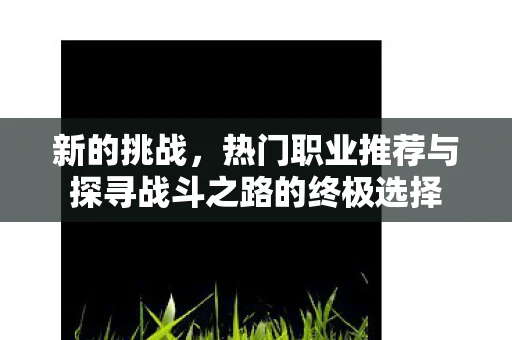 新的挑战，热门职业推荐与探寻战斗之路的终极选择