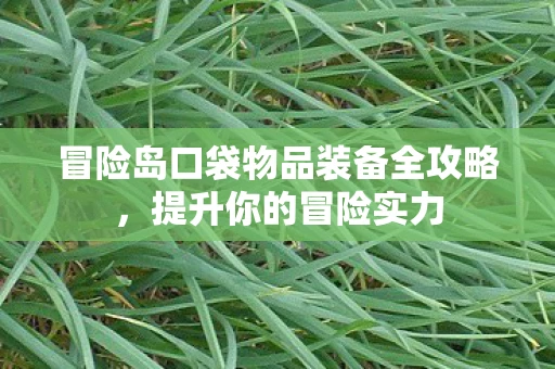 冒险岛口袋物品装备全攻略，提升你的冒险实力