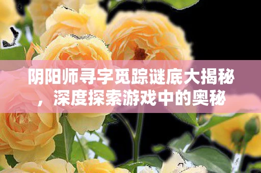 阴阳师寻字觅踪谜底大揭秘图片