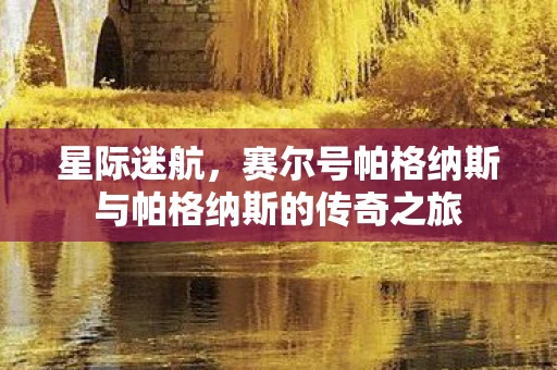 星际迷航，赛尔号帕格纳斯与帕格纳斯的传奇之旅