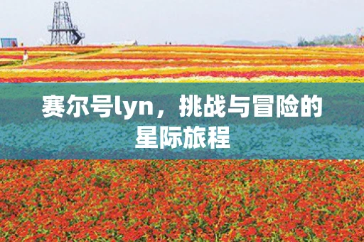 赛尔号lyn，挑战与冒险的星际旅程