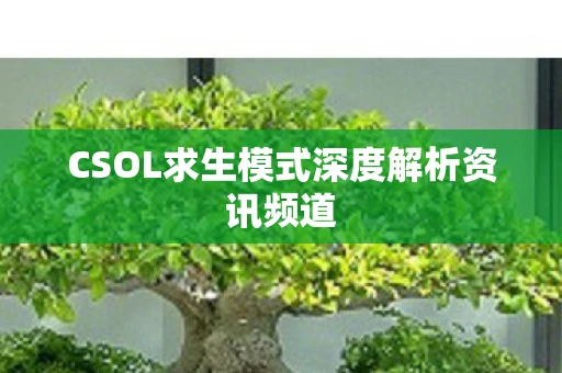 CSOL求生模式深度解析资讯频道