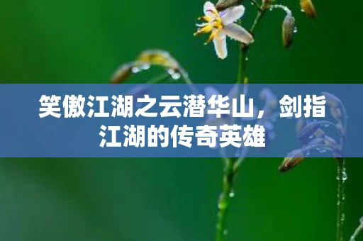 笑傲江湖之云潜华山，剑指江湖的传奇英雄