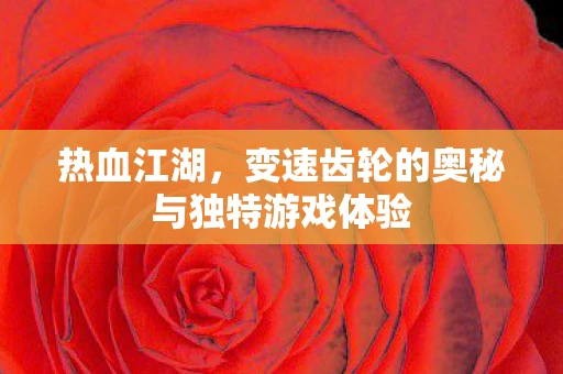热血江湖，变速齿轮的奥秘与独特游戏体验