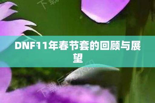 DNF11年春节套的回顾与展望