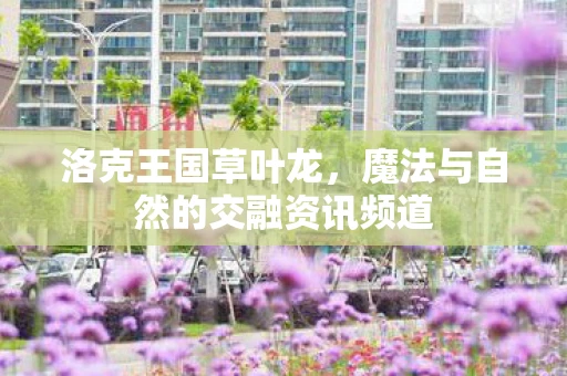 洛克王国草叶龙，魔法与自然的交融资讯频道