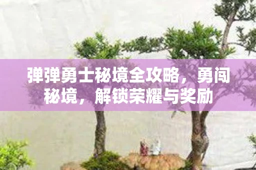弹弹勇士秘境全攻略，勇闯秘境，解锁荣耀与奖励