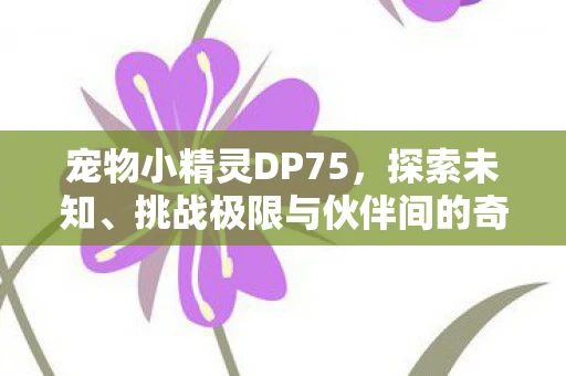 宠物小精灵DP75，探索未知、挑战极限与伙伴间的奇妙冒险