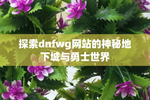 探索dnfwg网站的神秘地下城与勇士世界