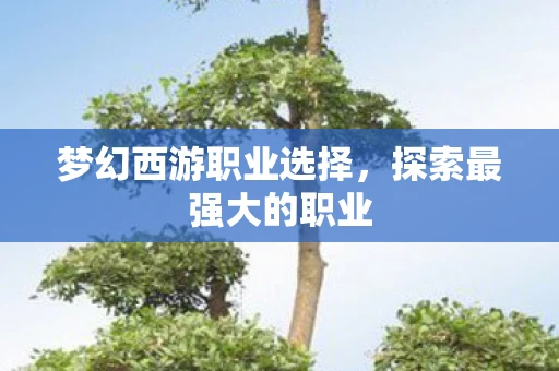 梦幻西游职业选择，探索最强大的职业