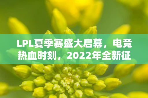 LPL夏季赛盛大启幕，电竞热血时刻，2022年全新征程开启
