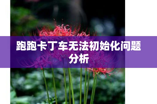 跑跑卡丁车无法初始化问题分析