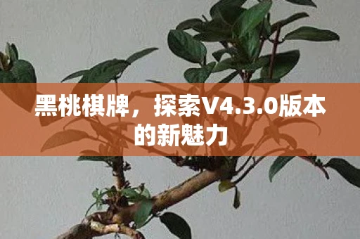 黑桃棋牌，探索V4.3.0版本的新魅力