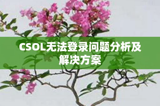CSOL无法登录问题分析及解决方案图片