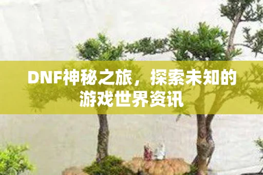 DNF神秘之旅，探索未知的游戏世界资讯