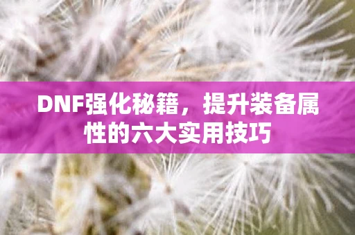 DNF强化秘籍，提升装备属性的六大实用技巧