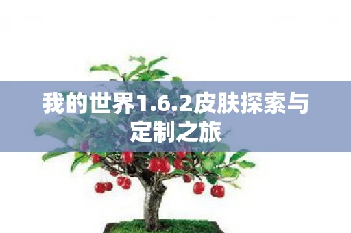 我的世界1.6.2皮肤探索与定制之旅