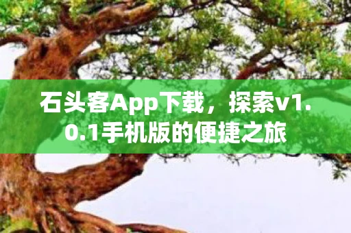 石头客App下载，探索v1.0.1手机版的便捷之旅