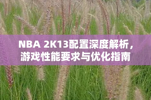 NBA 2K13配置深度解析，游戏性能要求与优化指南