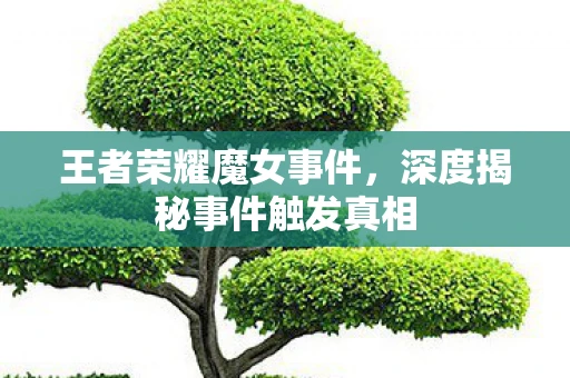 王者荣耀魔女事件，深度揭秘事件触发真相