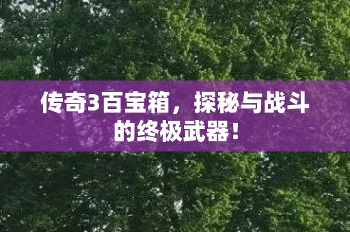 传奇3百宝箱，探秘与战斗的终极武器！