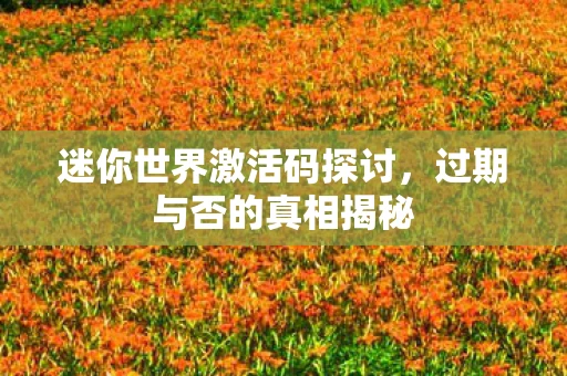 迷你世界激活码探讨，过期与否的真相揭秘