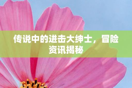 传说中的进击大绅士，冒险资讯揭秘