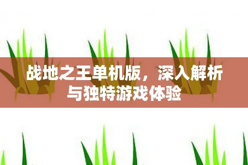 战地之王单机版，深入解析与独特游戏体验