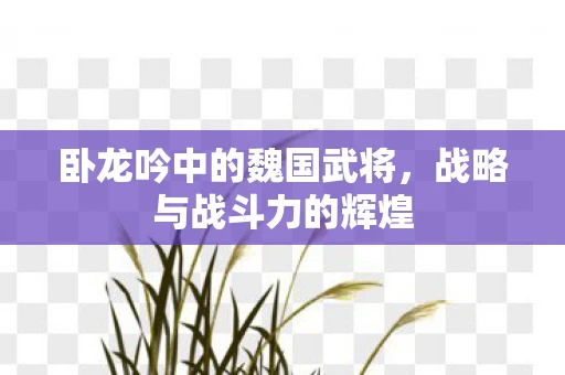卧龙吟中的魏国武将，战略与战斗力的辉煌