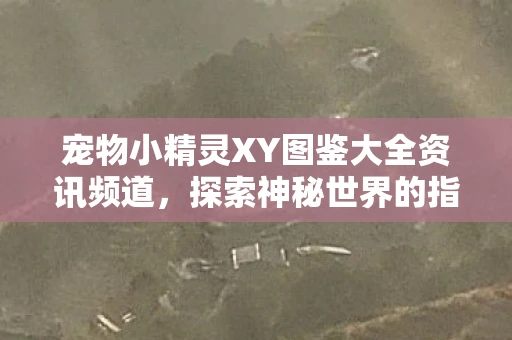 宠物小精灵XY图鉴大全资讯频道，探索神秘世界的指南