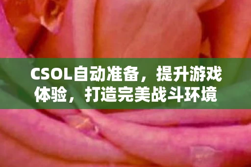 CSOL自动准备，提升游戏体验，打造完美战斗环境