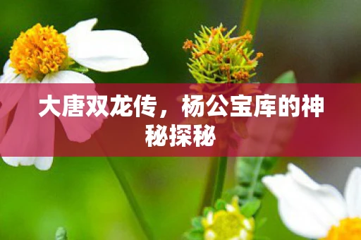 大唐双龙传，杨公宝库的神秘探秘
