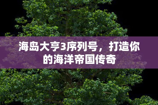 打造你的海洋帝国传奇图片