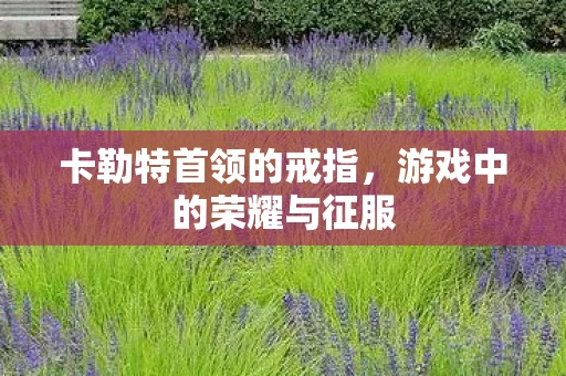 卡勒特首领的戒指，游戏中的荣耀与征服