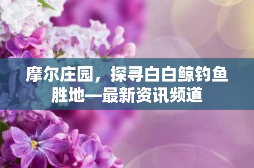 摩尔庄园，探寻白白鲸钓鱼胜地—最新资讯频道