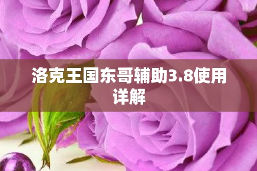 洛克王国东哥辅助3图片