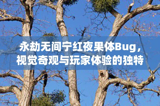 永劫无间宁红夜果体Bug，视觉奇观与玩家体验的独特融合