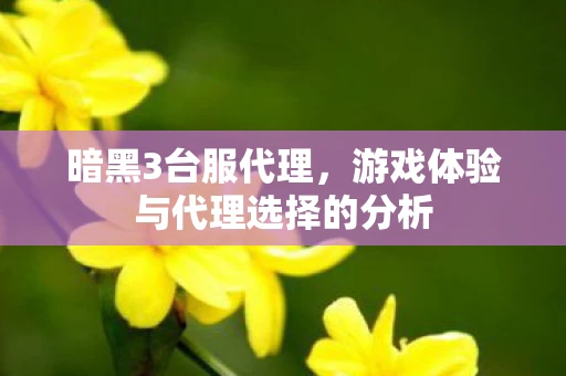 暗黑3台服代理，游戏体验与代理选择的分析