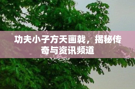 功夫小子方天画戟，揭秘传奇与资讯频道