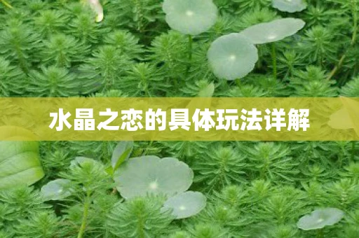 水晶之恋的具体玩法详解