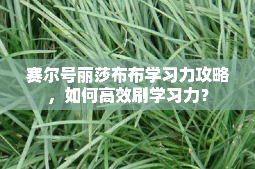 赛尔号丽莎布布学习力攻略，如何高效刷学习力？