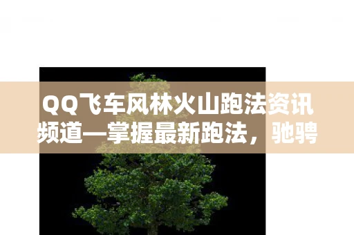 QQ飞车风林火山跑法资讯频道—掌握最新跑法，驰骋飞车世界