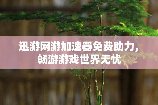 迅游网游加速器免费助力图片
