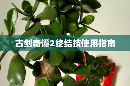 古剑奇谭2终结技使用指南