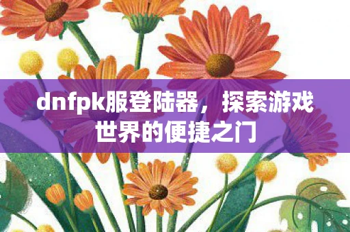 dnfpk服登陆器，探索游戏世界的便捷之门